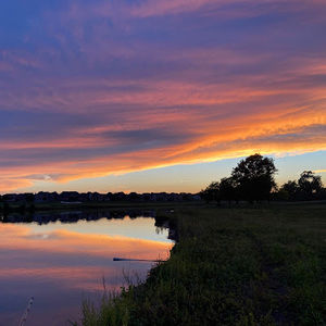 Meet your Posher, Mitchell